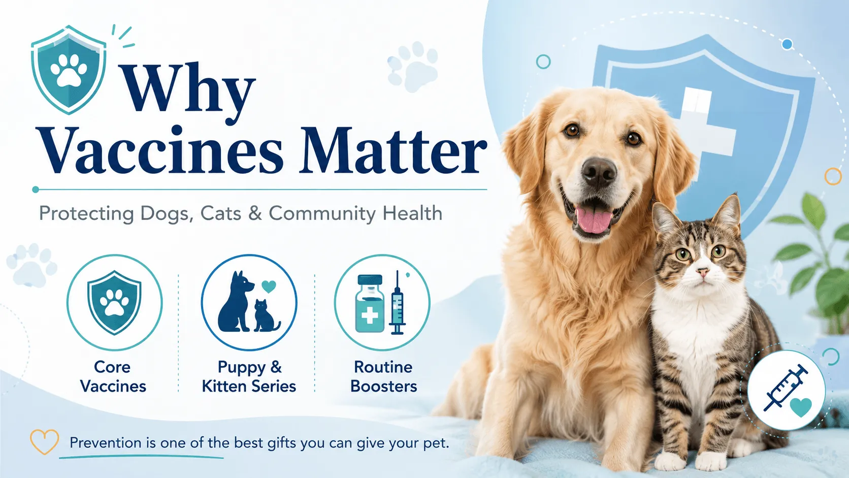 Why Vaccines Matter: protecting dogs, cats and community health, with icons for core vaccines, puppy and kitten series, and routine boosters beside a golden retriever and a tabby cat