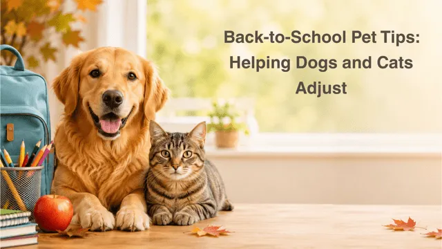 Back-to-School Pet Tips: Helping Dogs and Cats Adjust, with a golden retriever and a tabby cat beside a backpack, books and an apple