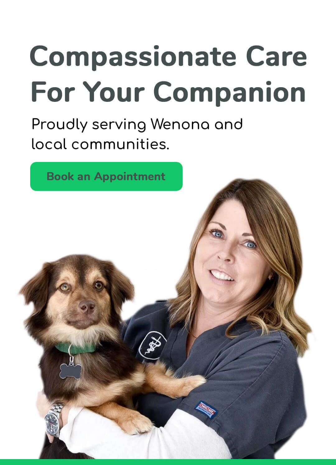 Compassionate care for your companion. Proudly serving Wenona and local communities. Book an appointment